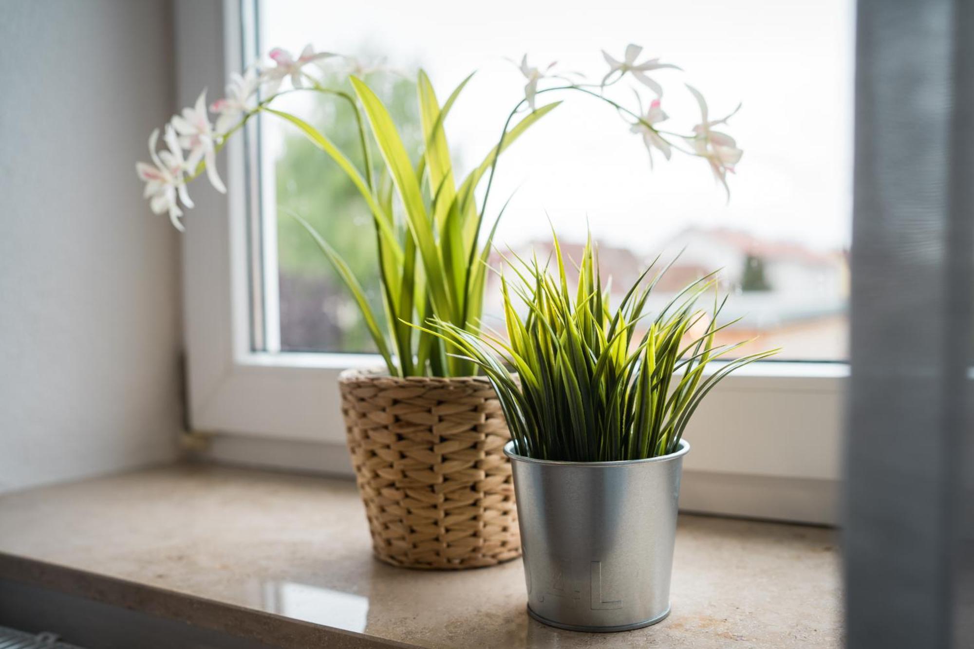Doppelzimmer 3 - Neu Renoviert Dinkelsbühl Kültér fotó